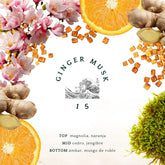 GINGER MUSK