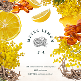 MEYER LEMON
