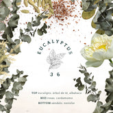 EUCALYPTUS