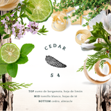 CEDAR